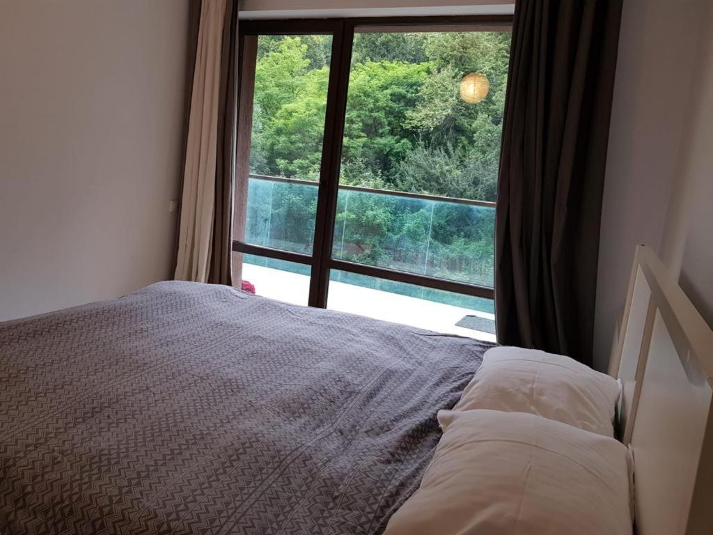 Apartmentsbnb828 布拉索夫 外观 照片