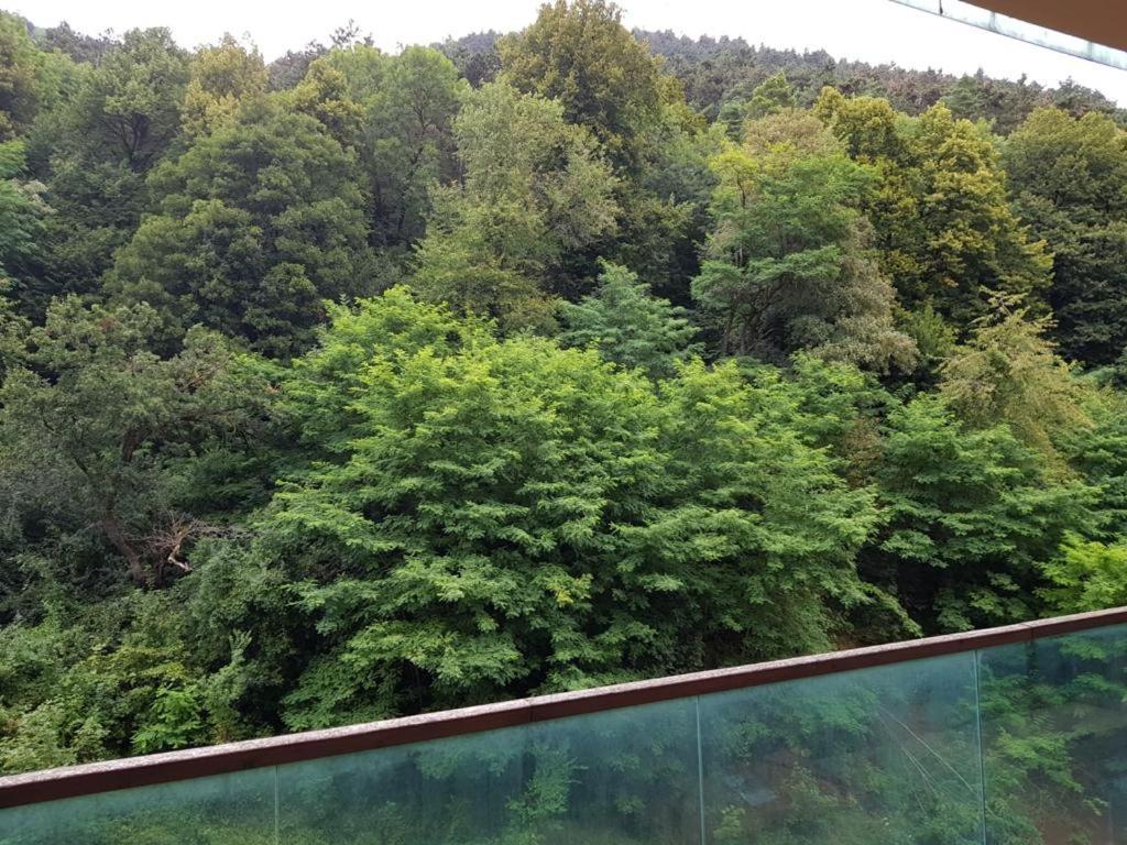Apartmentsbnb828 布拉索夫 外观 照片